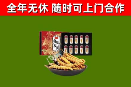 弋阳县回收冬虫夏草价格