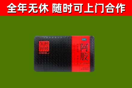弋阳县回收阿胶